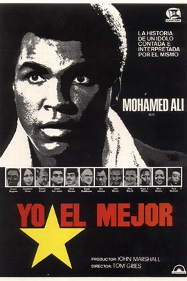 胜者为王之拳王阿里