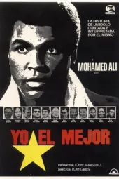 胜者为王之拳王阿里