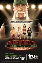 浩克侯根的微型摔跤锦标赛