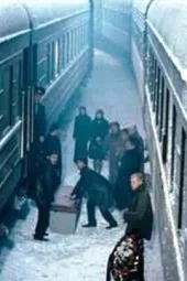 一则偶然事件的背后