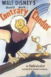 ContraryCondor