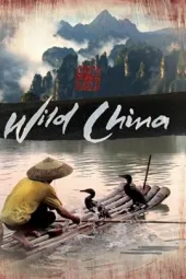 美丽中国