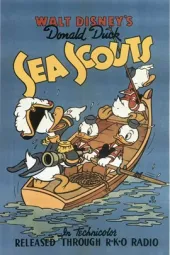 SeaScouts