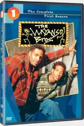 韦恩斯兄弟（电视剧）[1995]