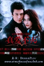 真爱不灭（电视剧）[2011]