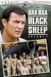BaaBaaBlackSheep