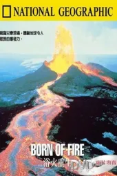 浴火重生