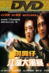 洪兴仔之江湖大风暴