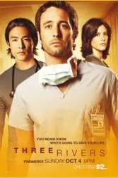 当事三方（电视剧）[2009]