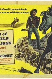 KingoftheWildStallions