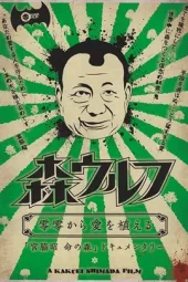 守护森林的孤狼