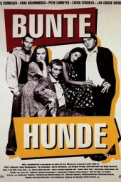 BunteHunde