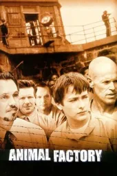动物工厂