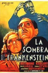 弗兰肯斯坦的儿子