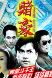 赌豪