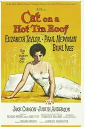 热铁皮屋顶上的猫