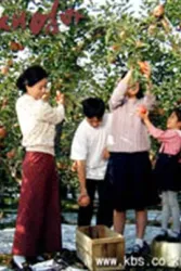 继母（电视剧）[2001]