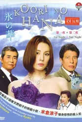 冰之华（电视剧）[2008]