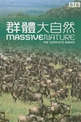 群体大自然（电视剧）[2004]