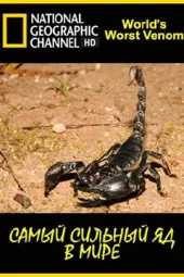 国家地理：毒物大比拼