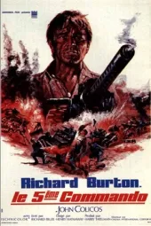 沙漠之狐隆美尔