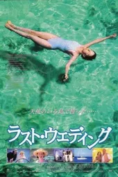 今生只爱你