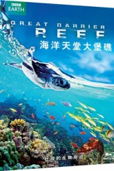 海洋天堂大堡礁（电视剧）[2012]