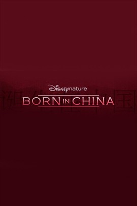 誕生在中國