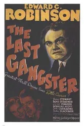 TheLastGangster