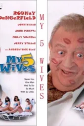 我的5个妻子