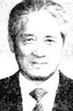 白桦