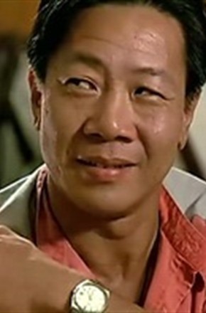 ha wong演员|导演男香港香港演员,武术指导,洪家班的成员.