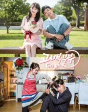 告白夫妇（电视剧）[2017]