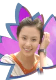 金宗楠