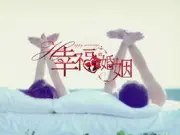 幸福婚姻（电视剧）[2015]