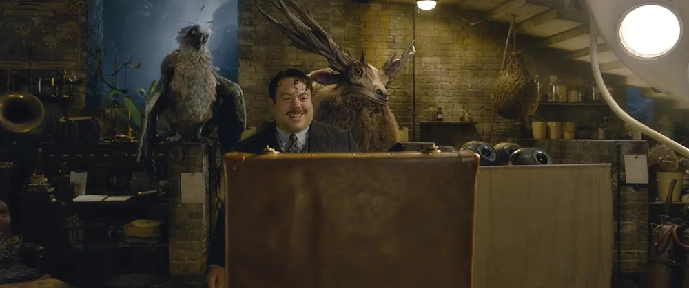 Jacob will step into the world of fantastic beasts again. JPG