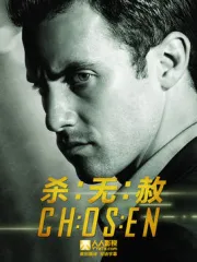 杀无赦（电视剧）[2013]