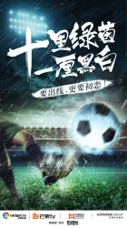 十里绿茵一厘黑白（电视剧）[2018]