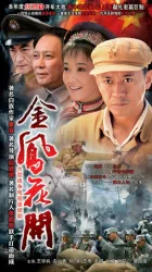 金鳳花開（電視劇）[2009]