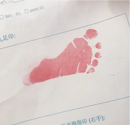 Picture 2.png 图片2.png