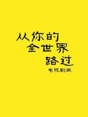 从你的全世界路过