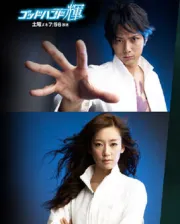 天生妙手（电视剧）[2009]