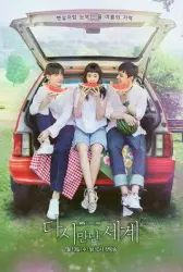 再次相遇的世界（电视剧）[2017]