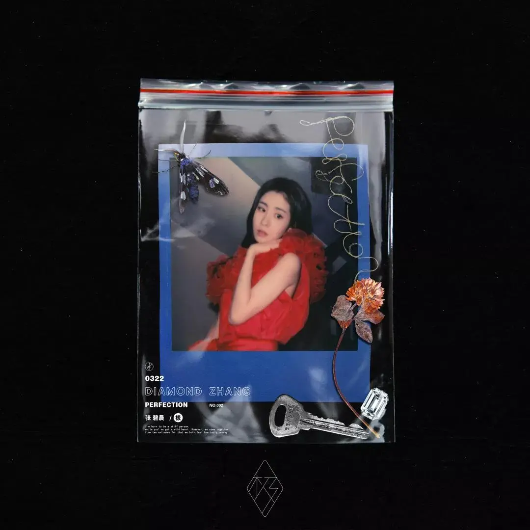 Diamond Zhang 'the pole' - cover. JPG