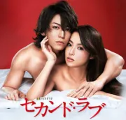 爱上女老师（电视剧）[2015]