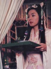 Mei Zhu