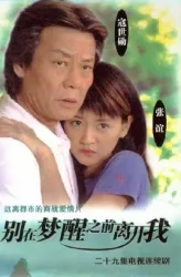 夢醒灕江（電視劇）[2005]