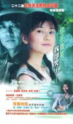 你在微笑我却哭了（电视剧）[2004]