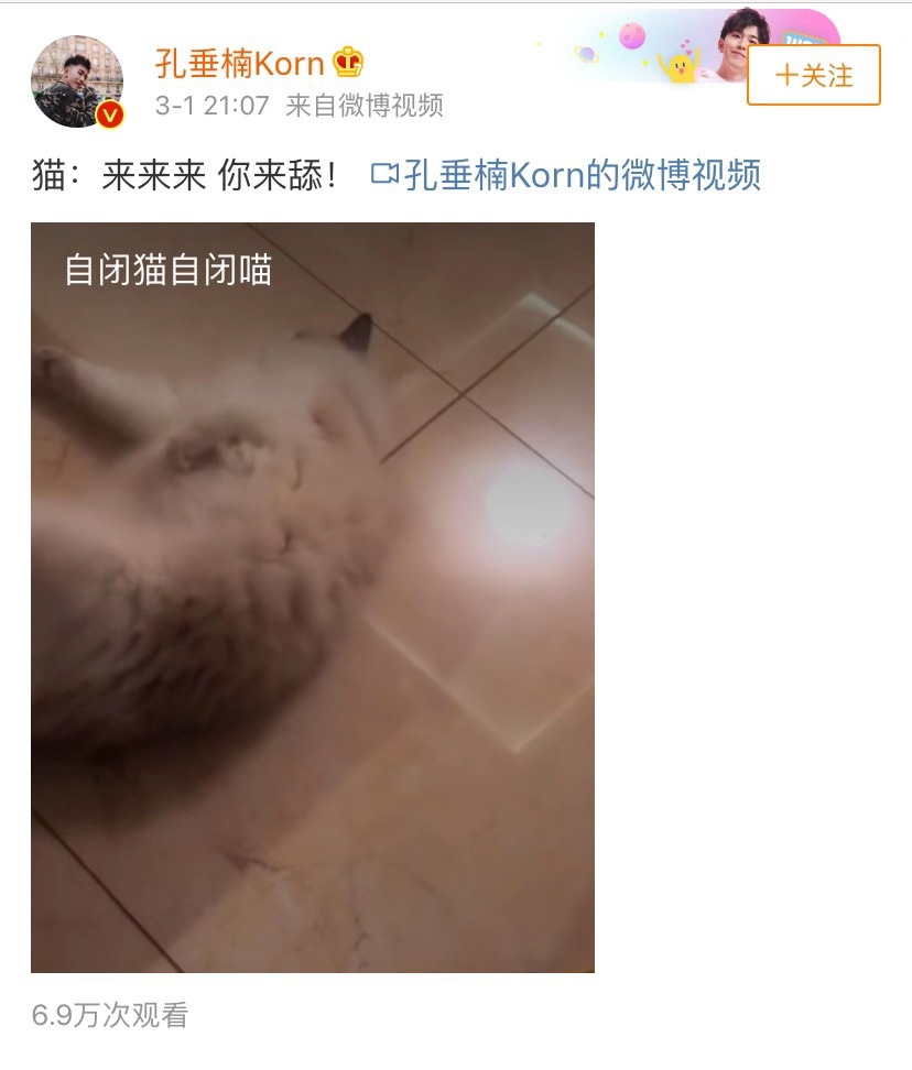孔垂楠在线撸猫   网友：这就是传说中的“吸猫大法”？