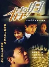 情归（电视剧）[2004]